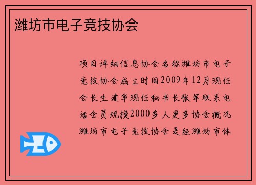 潍坊市电子竞技协会